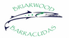 Briarwood Barracudas
