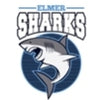The Elmer Sharks
