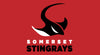 Somerset Stingrays
