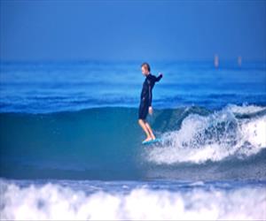 How to Choose a Longboard for Surfing