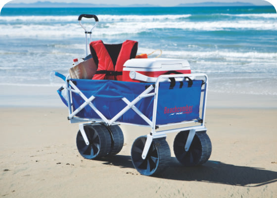 Understanding Beach Carts