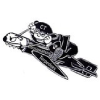 Coosawattee Torpedoes Swim Team