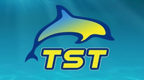 Towamencin Swim Team