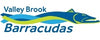 Valley Brook Barracudas Swimming
