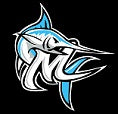 Destin Marlins Swim Team