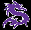 Spotsy Dragons Swim Team