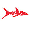 Missoula YMCA Swim Team