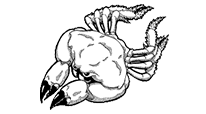 Stone Crabs Swim Team