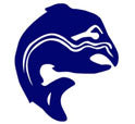 Soldotna Silver Salmon Swim Team