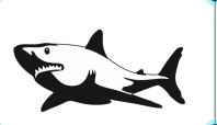 Decatur Area Swim Team