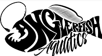 Anglerfish Aquatics