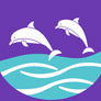 Illinois Valley YMCA Dolphins Swim Team
