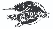Eastside YMCA Narwhals Swim Team
