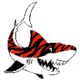 Preston Village Tiger Sharks