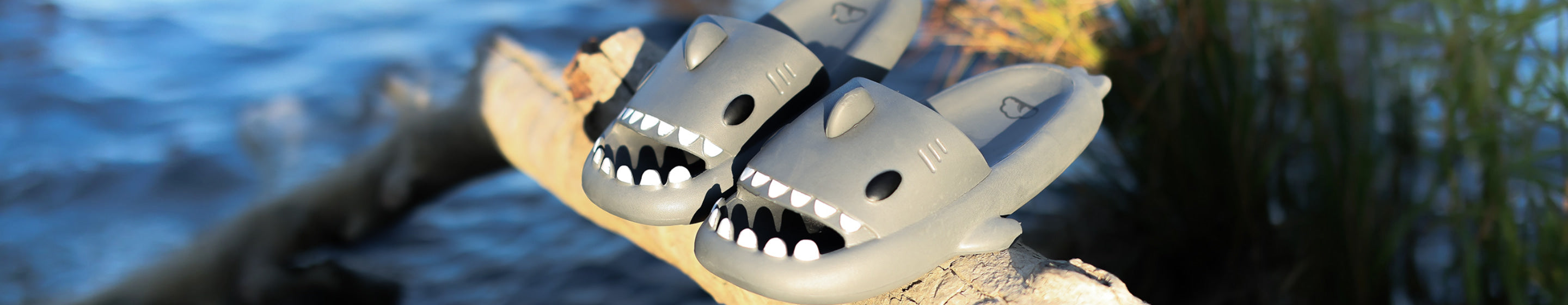 Cloudsharks