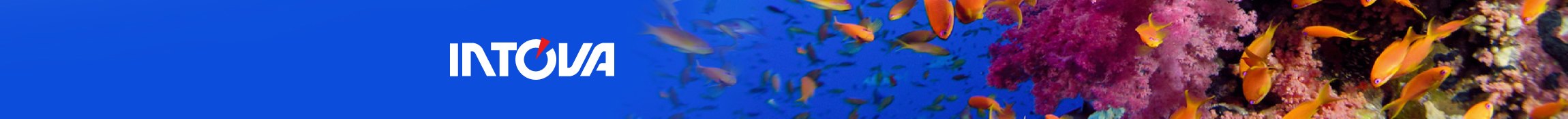 Intova