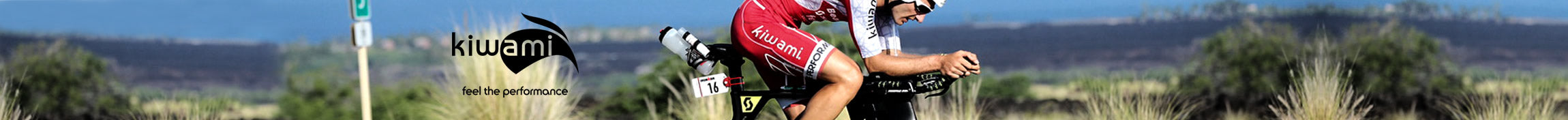 Kiwami