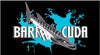 Barracuda Swim Club Nassau
