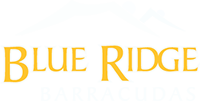 Blue Ridge Barracudas
