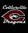 Collierville HS Swimming