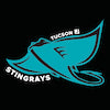 Tucson J Stingrays Swim Team