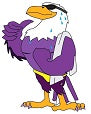 Bahrain Falcons Swim Team