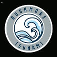 Rushmore Swim Team