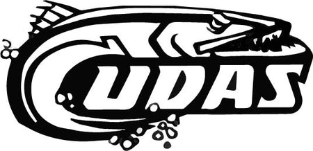 Kittatinny Barracudas Swim Team