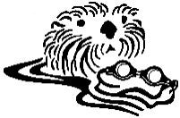 Oyster River Otters