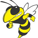 Yulee High School Hornets Swim