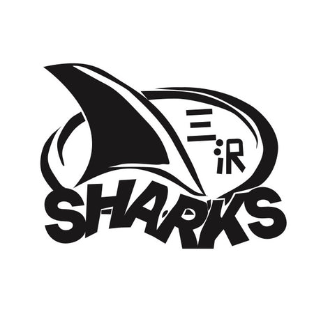 Misawa Youth Swim Team