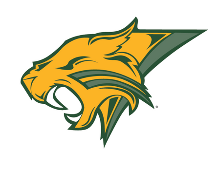 BLHS Swim Team