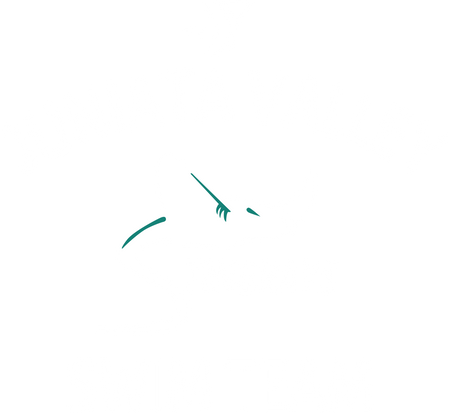 Juniata Valley YMCA Swim
