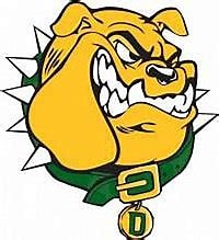 DHS Bulldogs Swimming