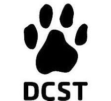 DeKalb County Swim Team