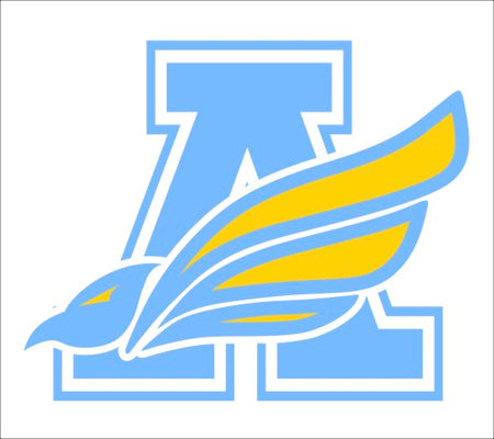 Golden Falcons Swim Team