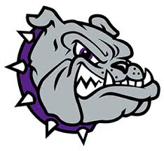 Bullfish Swim Team