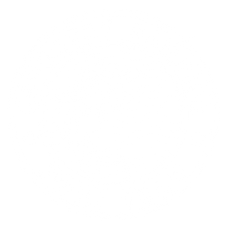 Coventry Sailfish