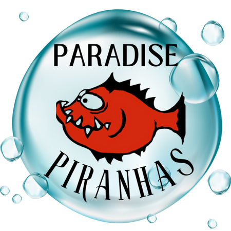 Paradise Piranhas Swim Team