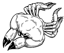 Stone Crabs Swim Team