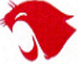 Destrehan Swim Team