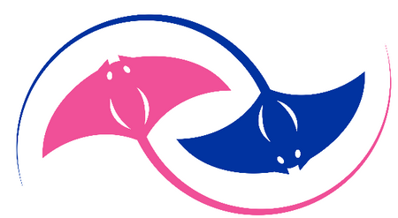 Tampa Bay Synchrays