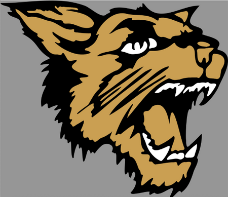 DHS Wildcat Swim Store