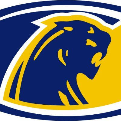 DeWitt Panthers HS Boys