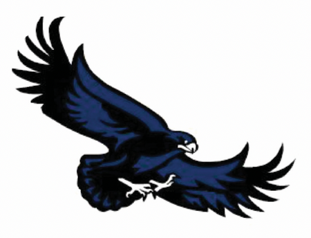 EHS Blue Hawks