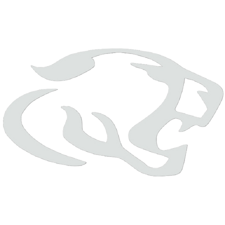 Cougar Aquatic team