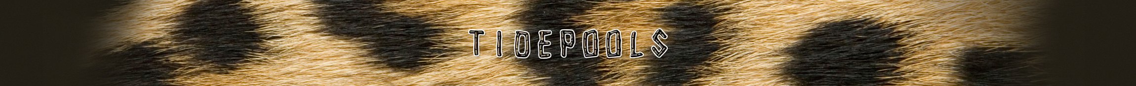 Tidepools