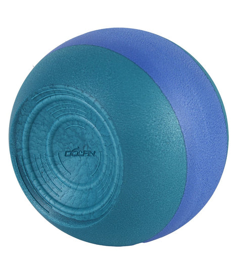 Dolfin Kickball