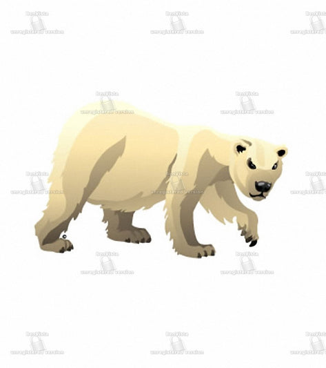 Swim Tattoos Bear