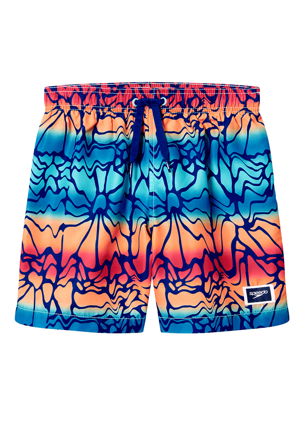 Speedo Boys' Aqua Breeze Print 15